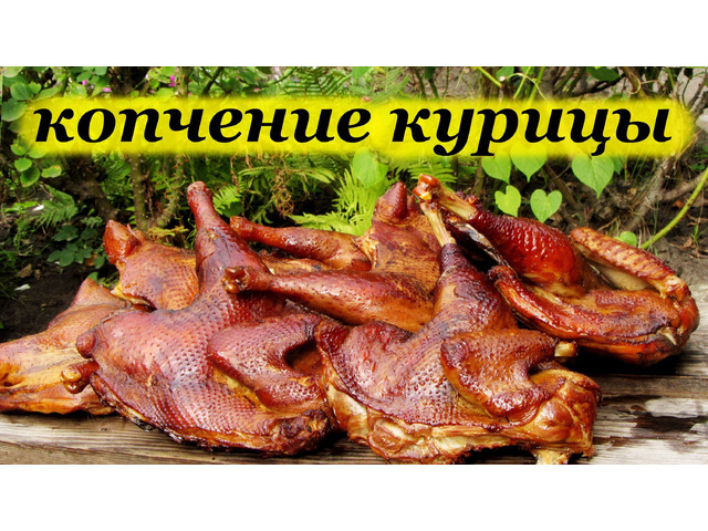 Сколько коптить курицу. Копчение курицы горячего копчения. Копчёная курица в коптильне. Курица горячего копчения в коптильне. Копченая курицы в коптилке.